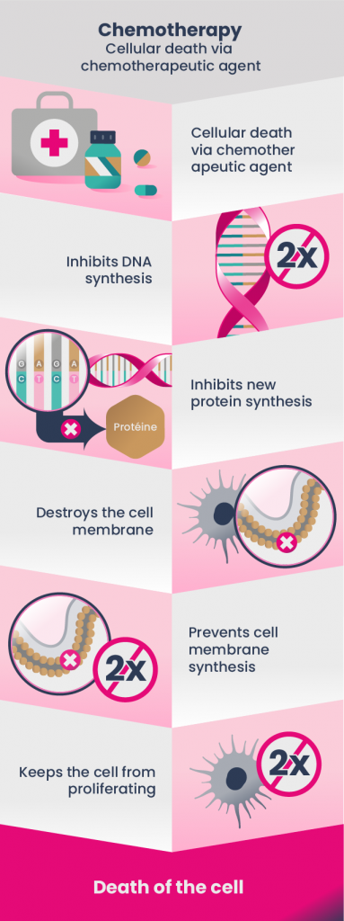 Infographic on the process of chemotherapy with breast cancer.